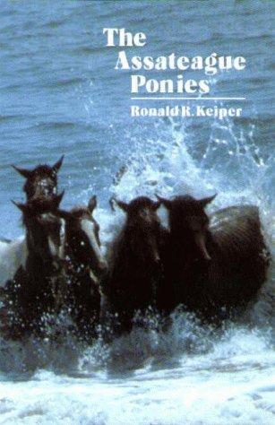 The Assateague Ponies