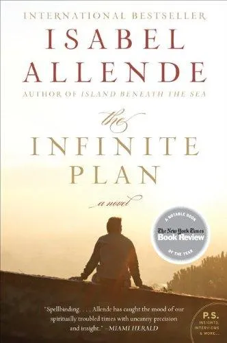 The Infinite Plan : A Novel