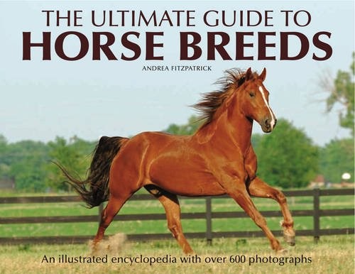 The Ultimate Guide to Horse Breeds