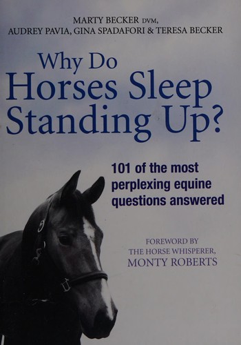 Why Do Horses Sleep Standing Up?