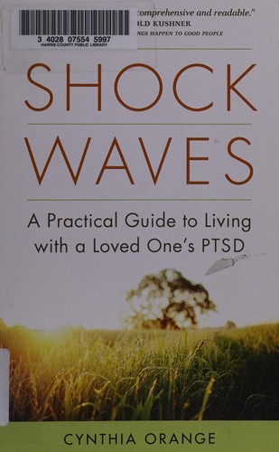 Shock Waves