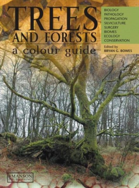 Trees & Forests, A Colour Guide