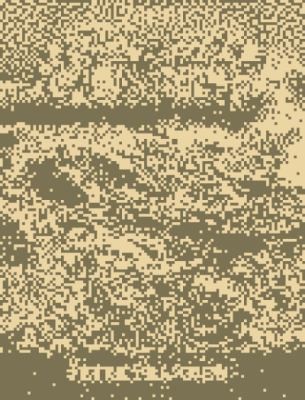 The Discovery of Sussex