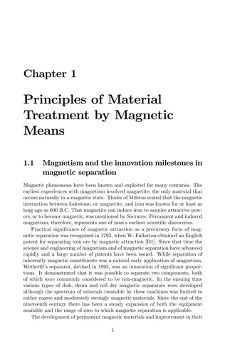 Magnetic Techniques for the Treatment of Materials (Softcover Reprint of the Original 1st 2004)