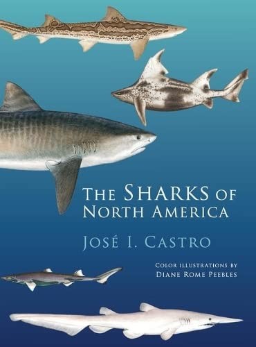 Sharks of North America