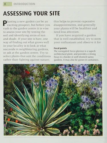 RHS What Plant When