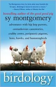 Birdology : Adventures with Hip Hop Parrots, Cantankerous Cassowaries, Crabby Crows, Peripatetic Pigeons, Hens, Hawks, and Hummingbirds