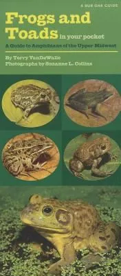 Frogs and Toads in Your Pocket : A Guide to Amphibians of the Upper Midwest