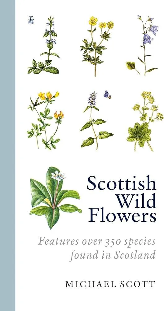 Scottish Wild Flowers