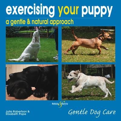 Exercising Your Puppy