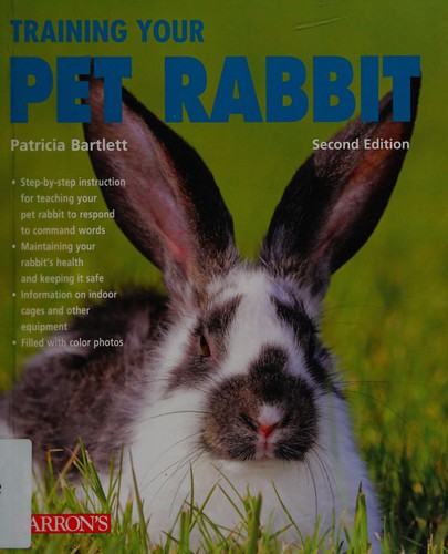 Training Your Pet Rabbit
