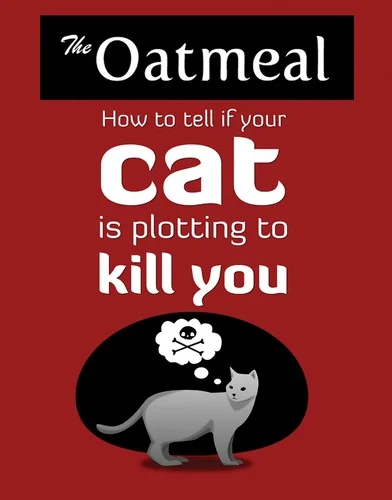 How to Tell If Your Cat Is Plotting to Kill You