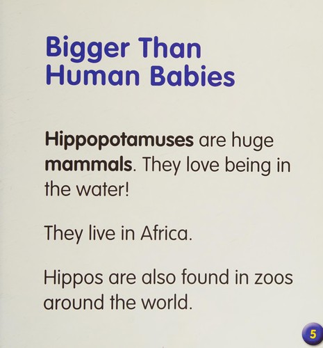 Hippopotamuses