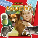 What is Touch?