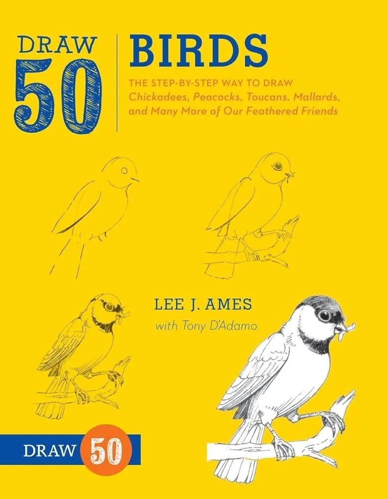 Draw 50 Birds