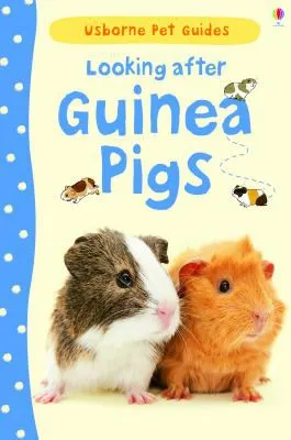 Looking after Guinea Pigs