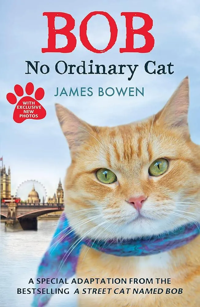 Bob : No Ordinary Cat