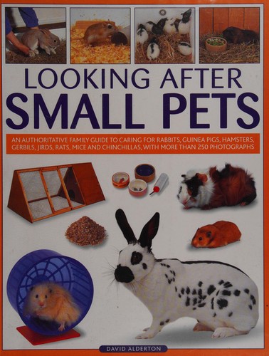 Looking After Small Pets