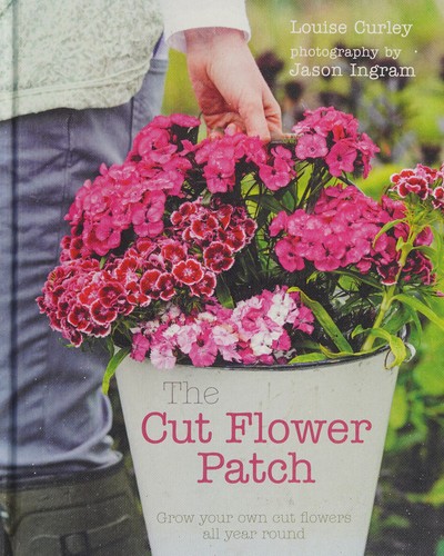 The Cut Flower Patch : Grow your own cut flowers all year round