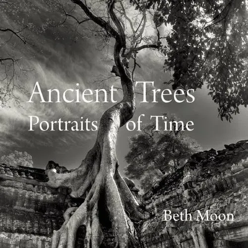 Ancient Trees : Portraits of Time