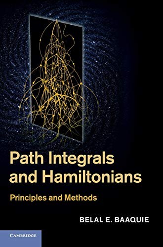 Path Integrals and Hamiltonians