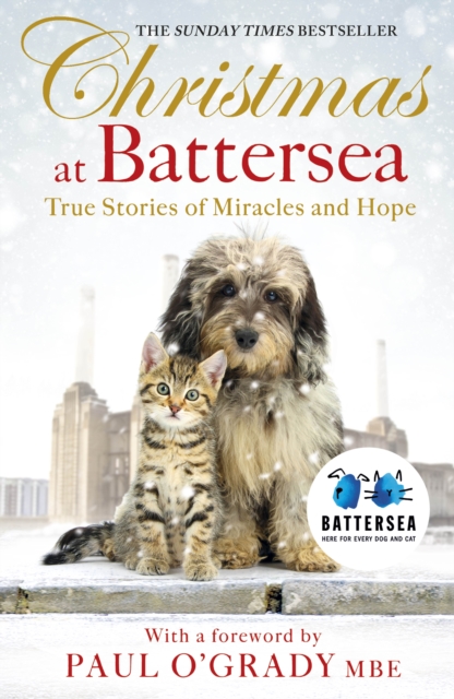 Christmas at Battersea