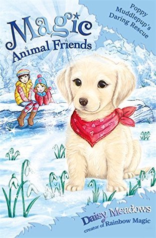 Magic Animal Friends