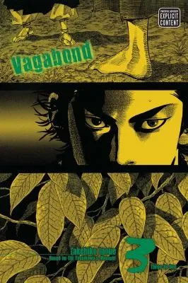 Vagabond (VIZBIG Edition), Vol. 3 : 3