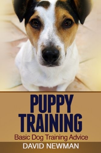 Puppy Training