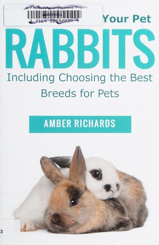 How to Care for Your Pet Rabbits