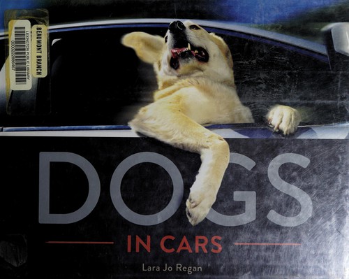 Dogs in Cars