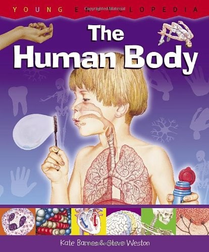 Human Body