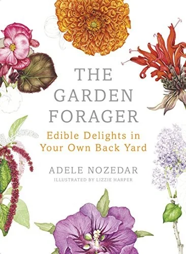 The Garden Forager : Edible Delights in your Own Back Yard