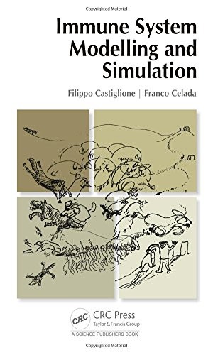 Immune System Modelling and Simulation