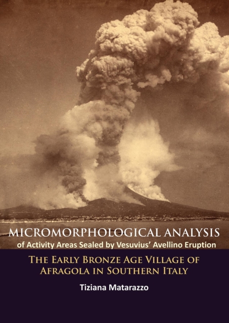 Micromorphological Analysis of Activity Areas Sealed by Vesuvius’ Avellino Eruption