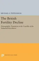 The British Fertility Decline