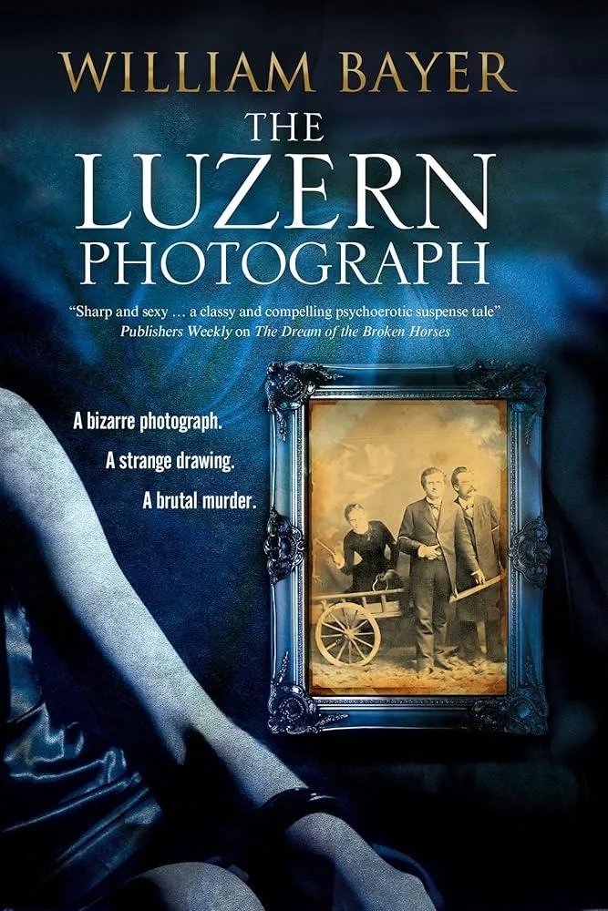 The Luzern Photograph : A Noir Thriller