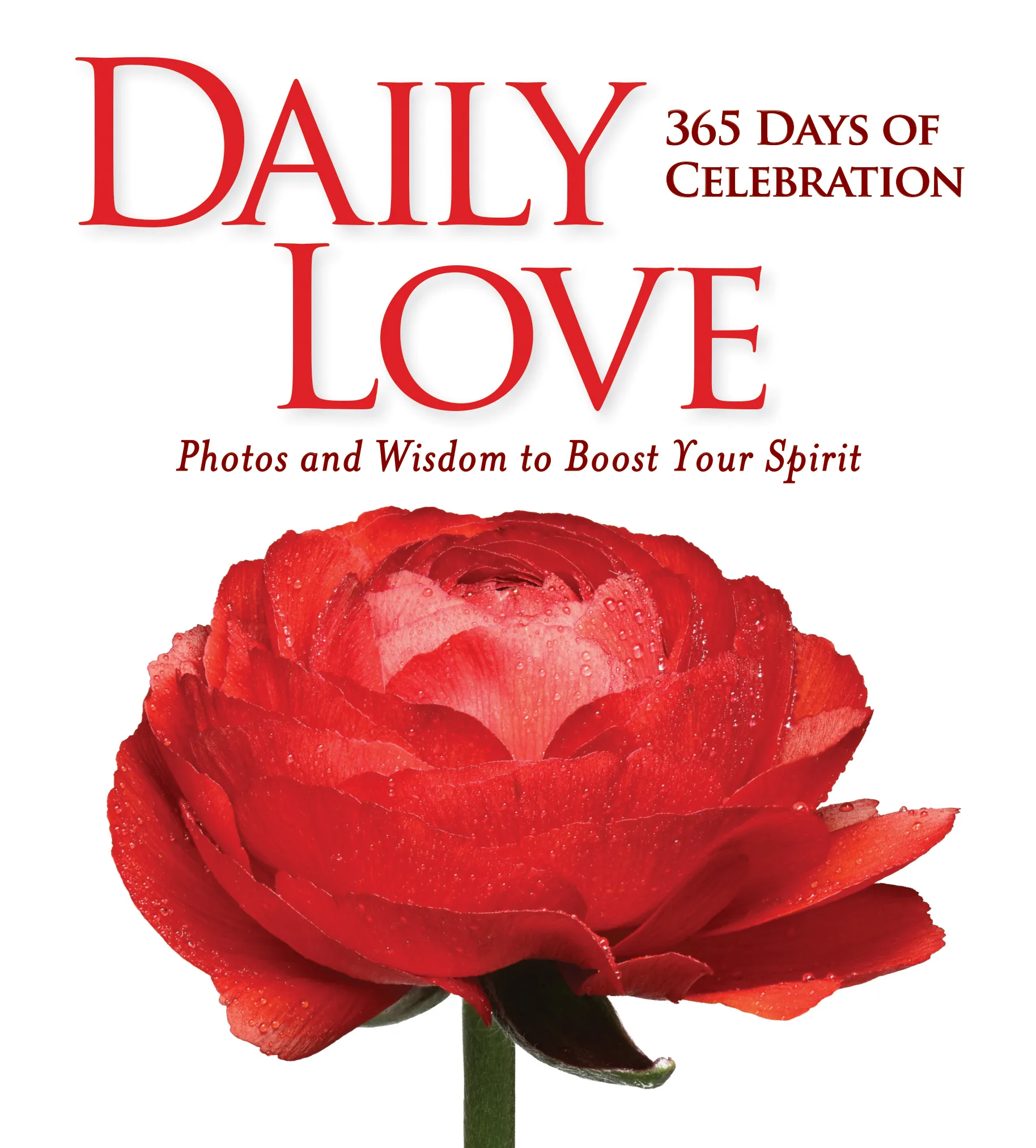 Daily Love