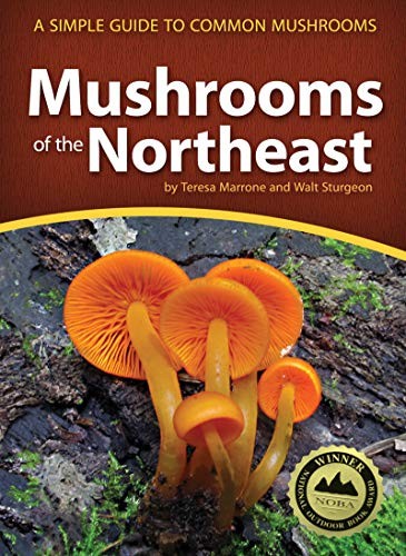 Mushrooms of the Northeast