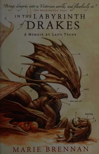 In the Labyrinth of Drakes