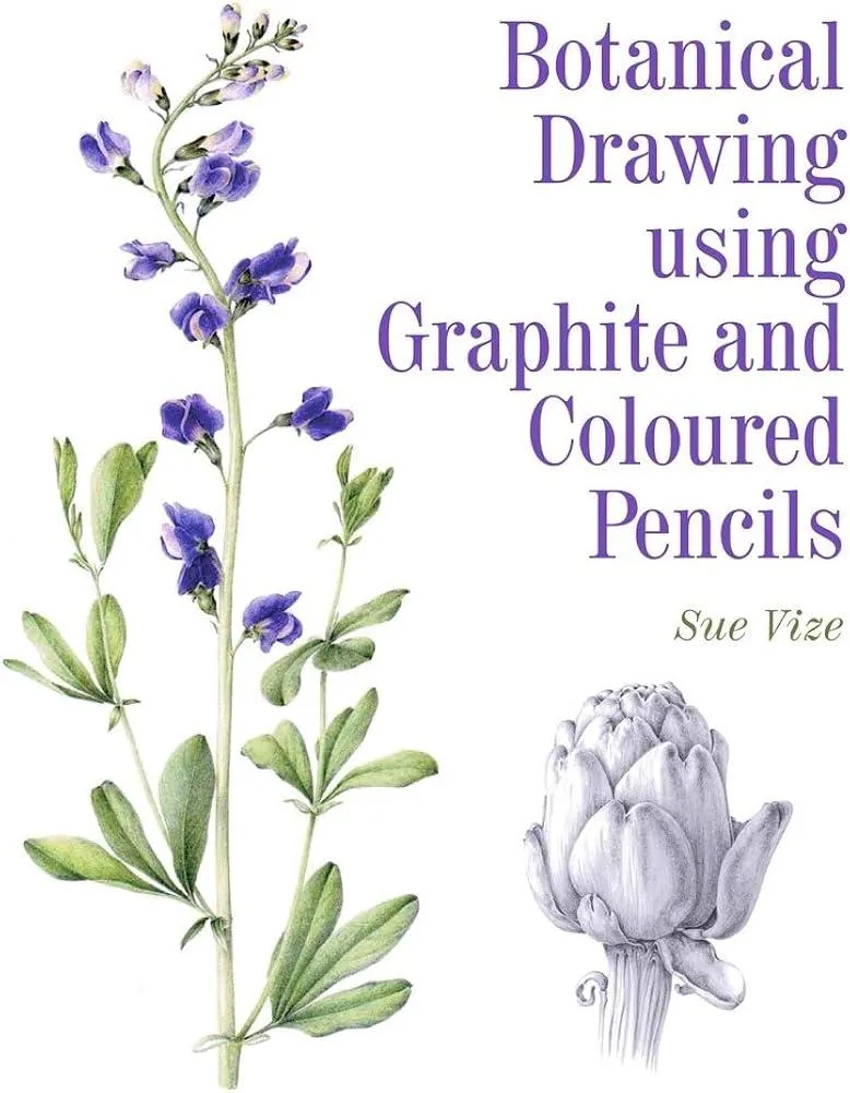 Botanical Drawing using Graphite and Coloured Pencils