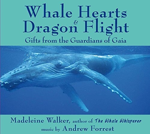 Whale Hearts and Dragon Flight