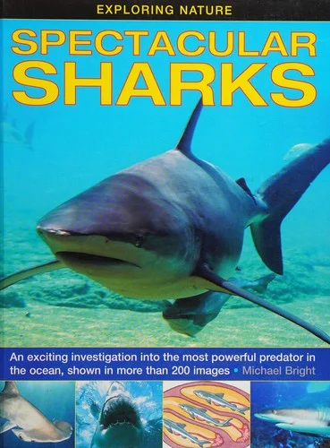 Exploring Nature: Spectacular Sharks