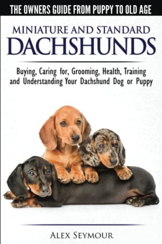 Dachshunds - The Owner's Guide from Puppy to Old Age - Choosing, Caring For, Grooming, Health, Training and Understanding Your Standard or Miniature Dachshund Dog