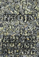 Alice in Wonderland's N3o Journal