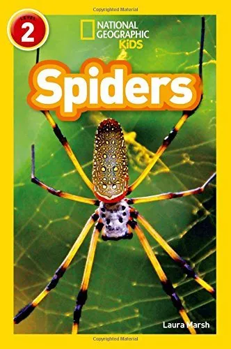 Spiders