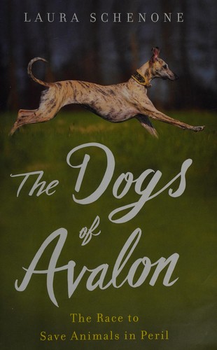 The Dogs of Avalon