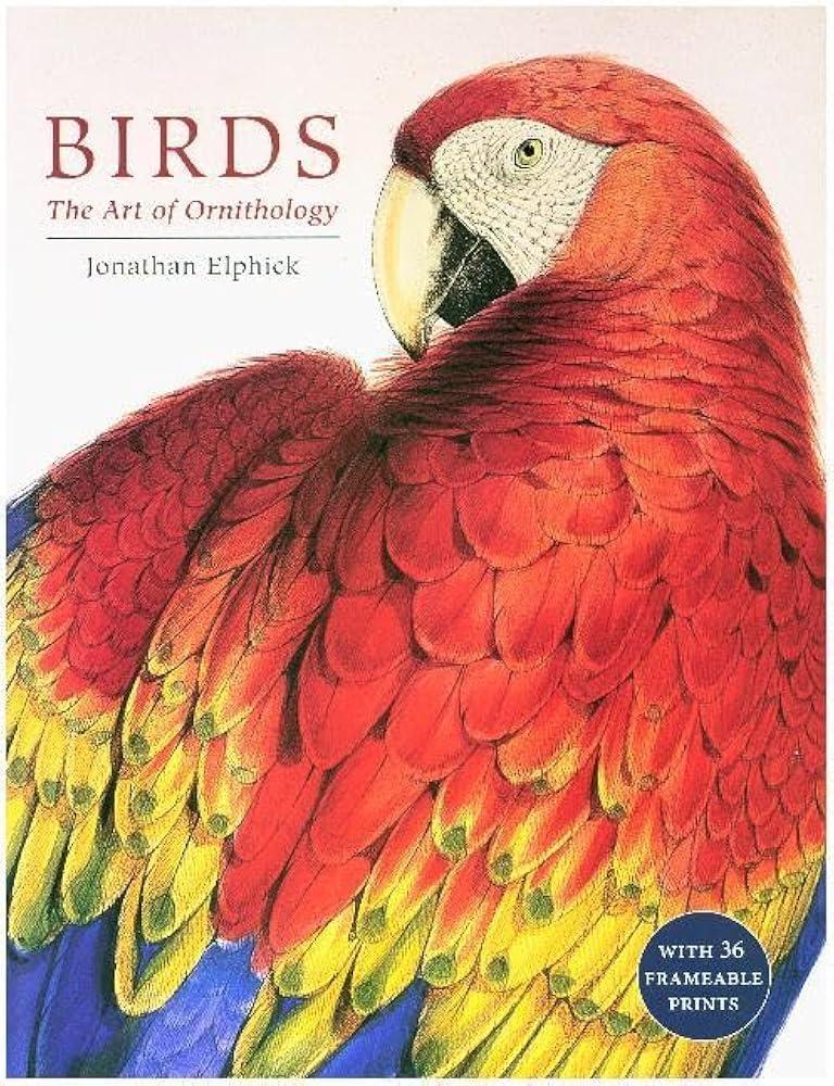 Birds : The Art of Ornithology (Boxed Set)