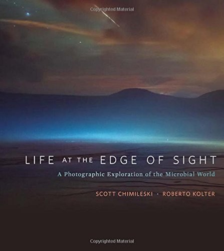 Life at the Edge of Sight