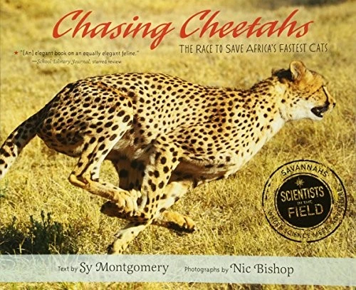 Chasing Cheetahs : The Race to Save Africa's Fastest Cat